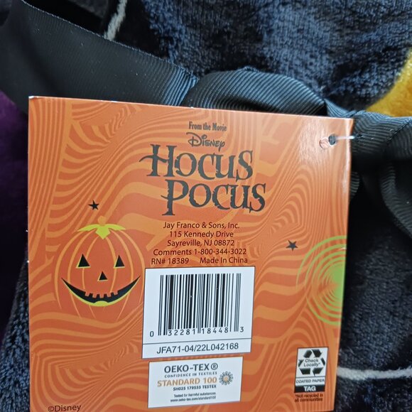 Disney Halloween Hocus Pocus Sanderson Sisters Plush Throw Blanket 50" x 70" - Picture 10 of 10